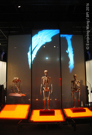 interactive exhibit