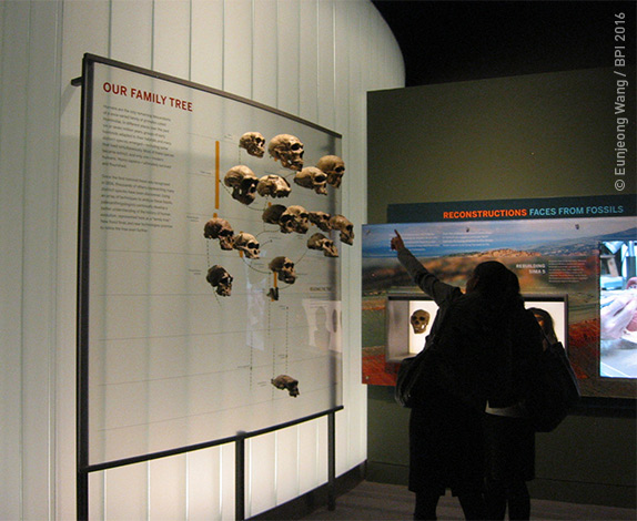 interactive exhibit